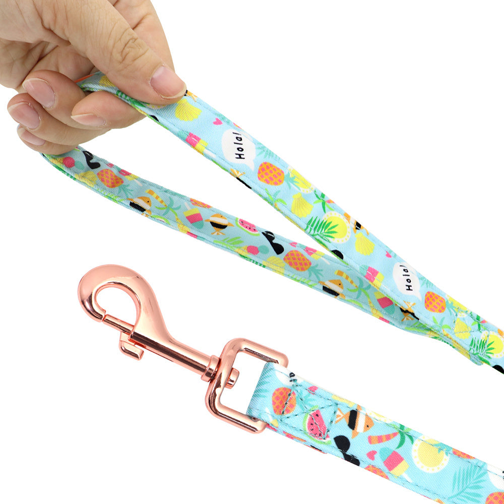 Personalized Floral Dog Harness & Leash Set - Custom Name Small Dog Collar - Adjustable Puppy Walking Gear - Matching Boutique Pet Accessories