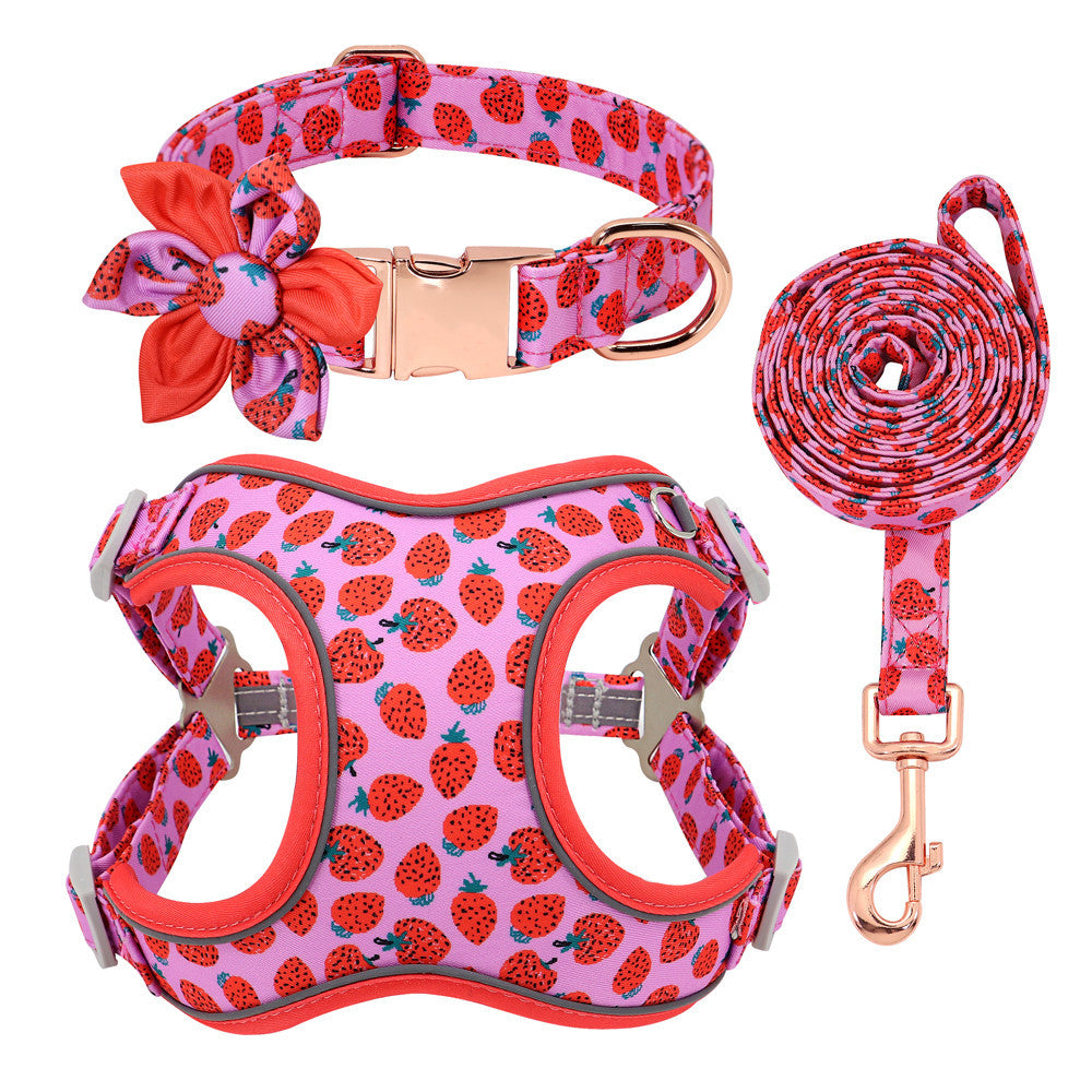 Personalized Floral Dog Harness & Leash Set - Custom Name Small Dog Collar - Adjustable Puppy Walking Gear - Matching Boutique Pet Accessories
