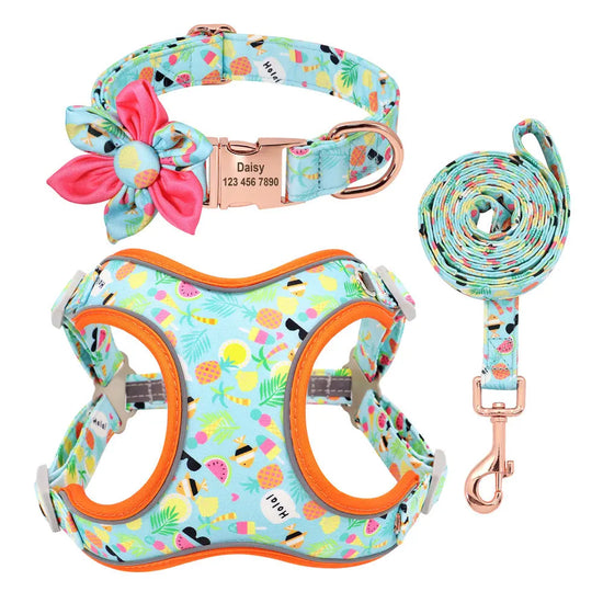 Personalized Floral Dog Harness & Leash Set - Custom Name Small Dog Collar - Adjustable Puppy Walking Gear - Matching Boutique Pet Accessories The Aurora Touch