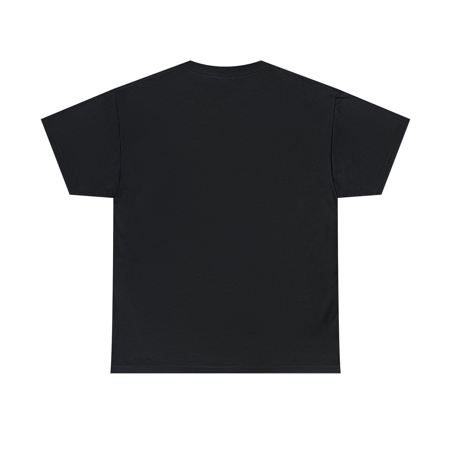 Pride TShirt, Rainbow Pride all gender all occasion proud stylish make a statement everyday casual black shirt