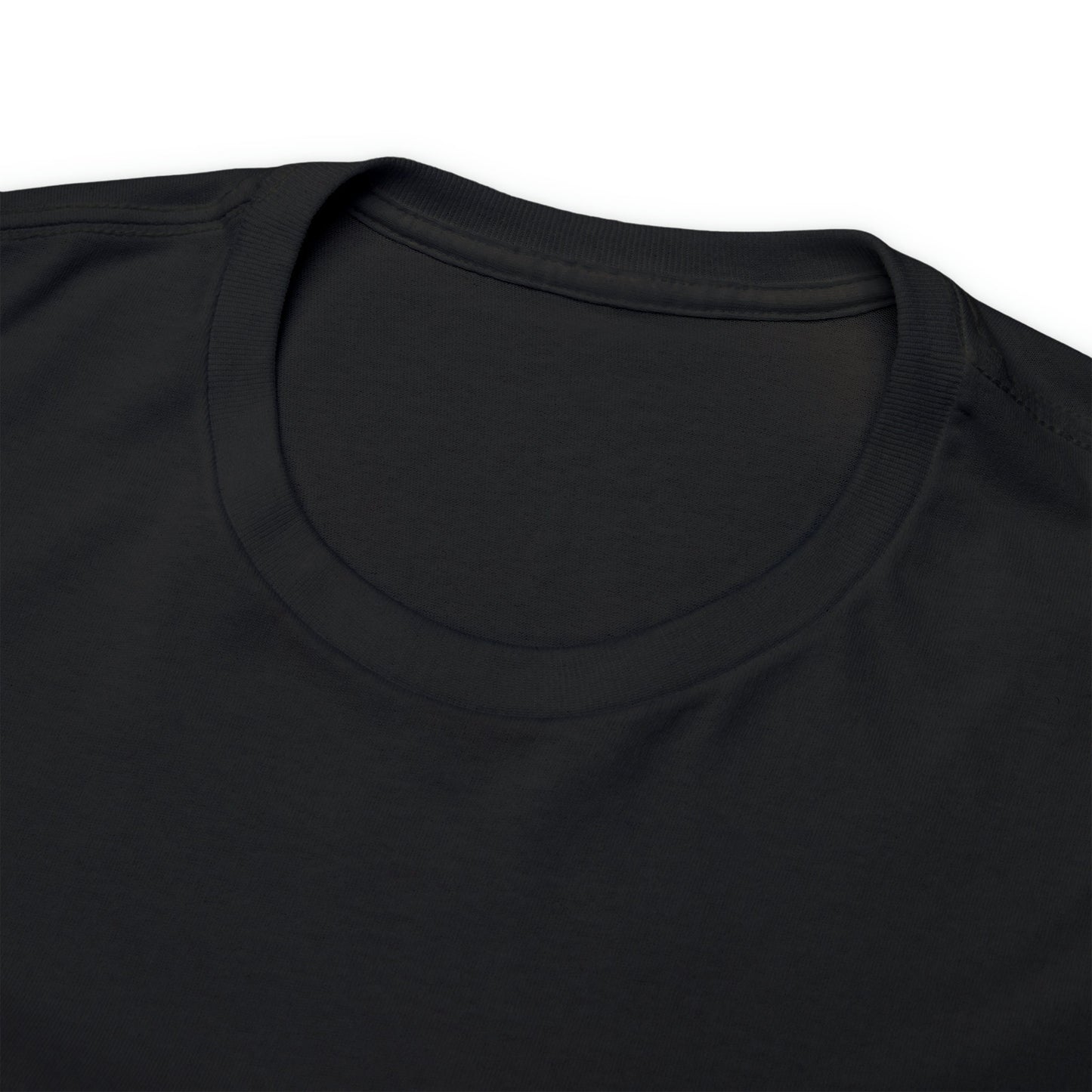 Pride TShirt, Rainbow Pride all gender all occasion proud stylish make a statement everyday casual black shirt