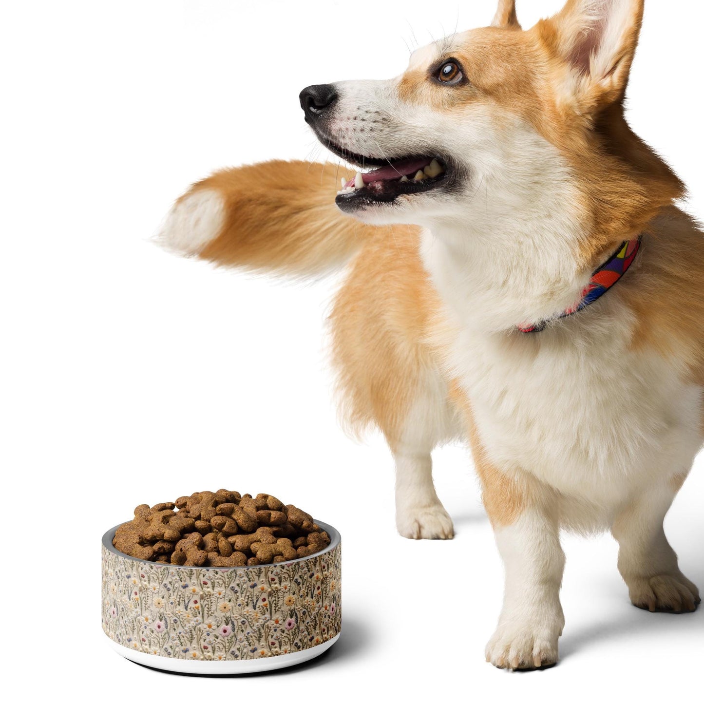 Pet bowl, Floral 3D raised thread pretty design furry best friend fashion style sleek designer looking food bowl