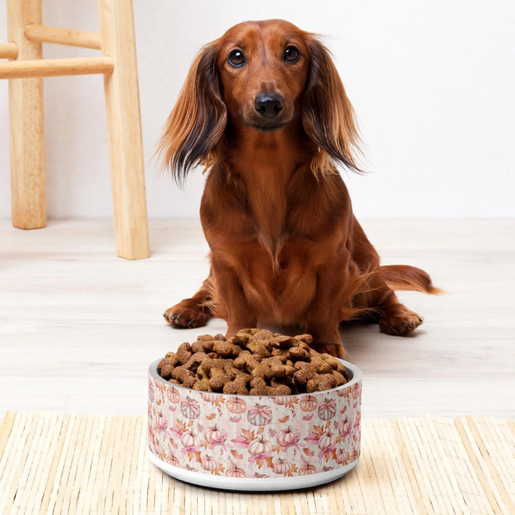 Pink Halloween Pet Bowl | Thanksgiving Pumpkin Cat Dog Dish | Coquette Stylish Designer Food Plate | Fall Home Decor The Aurora Touch