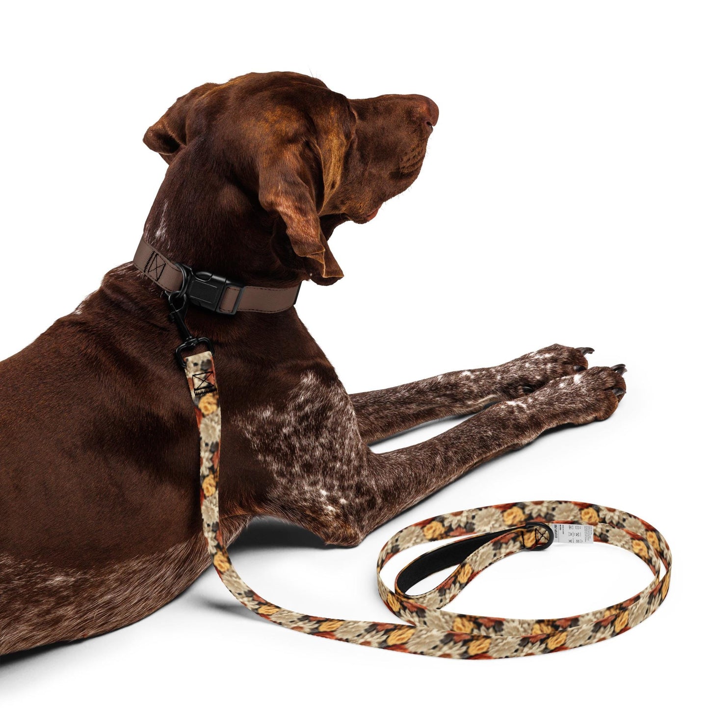 Fall colors Pet leash floral all over print pattern Autumn browns stylish classy walking shopping travel dog collar