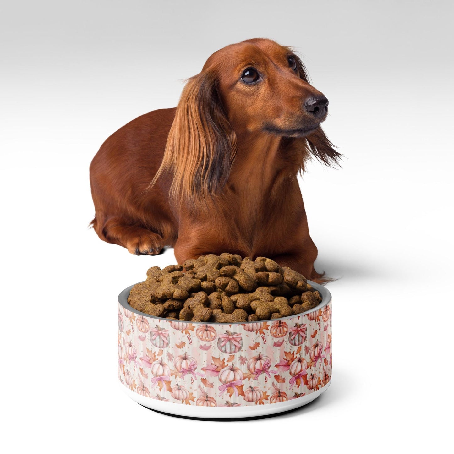 Pink Fall Pet bowl Halloween pink coquette fury friend designer home decor stylish pumkin bows food plate