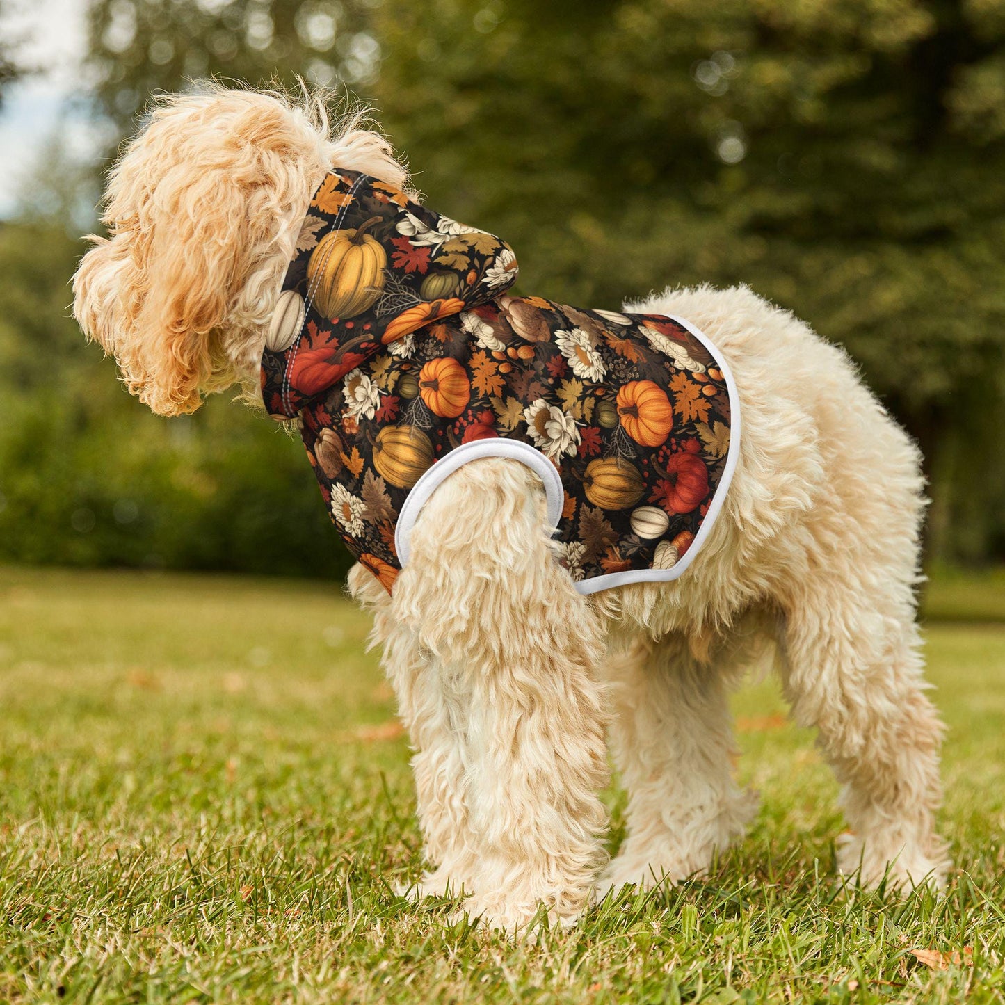 Fall Floral Pet Hoodie, Cozy Dog Sweater, Halloween Costume Alternative, Pumpkin Print Dog Outfit, Autumn Dog Apparel