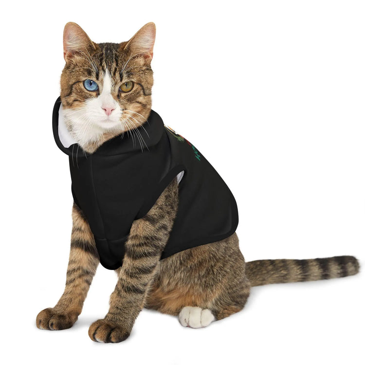 Pet Hoodie, Holiday Pet Sweater, Cat Sweater, Dog Hoodie, Christmas gift, Stocking stuffer, Xmas Novelty, Dog wear, Dog winter The Aurora Touch