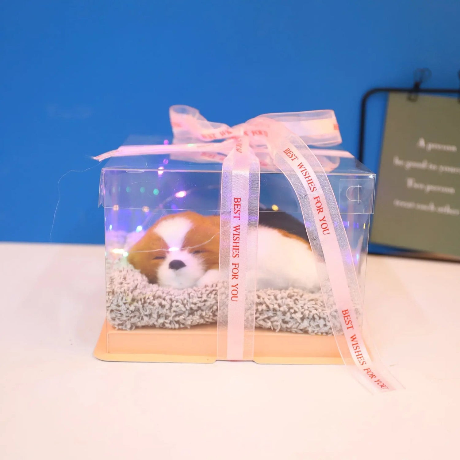 Decorative Activated Carbon Pet Pad with Gift Box - The Aurora Touch