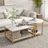 Coffee Tables Set of 2 CJ