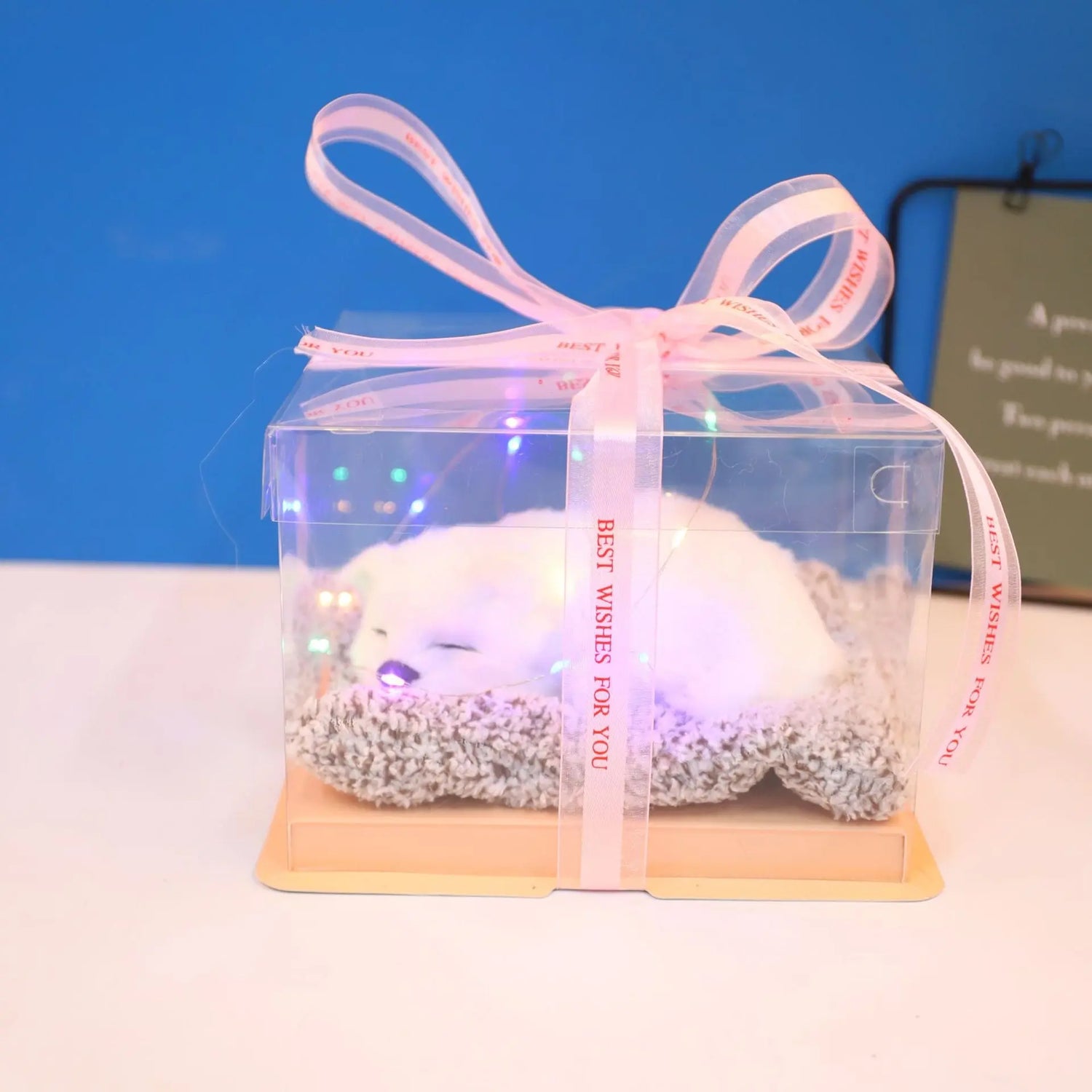 Decorative Activated Carbon Pet Pad with Gift Box - The Aurora Touch