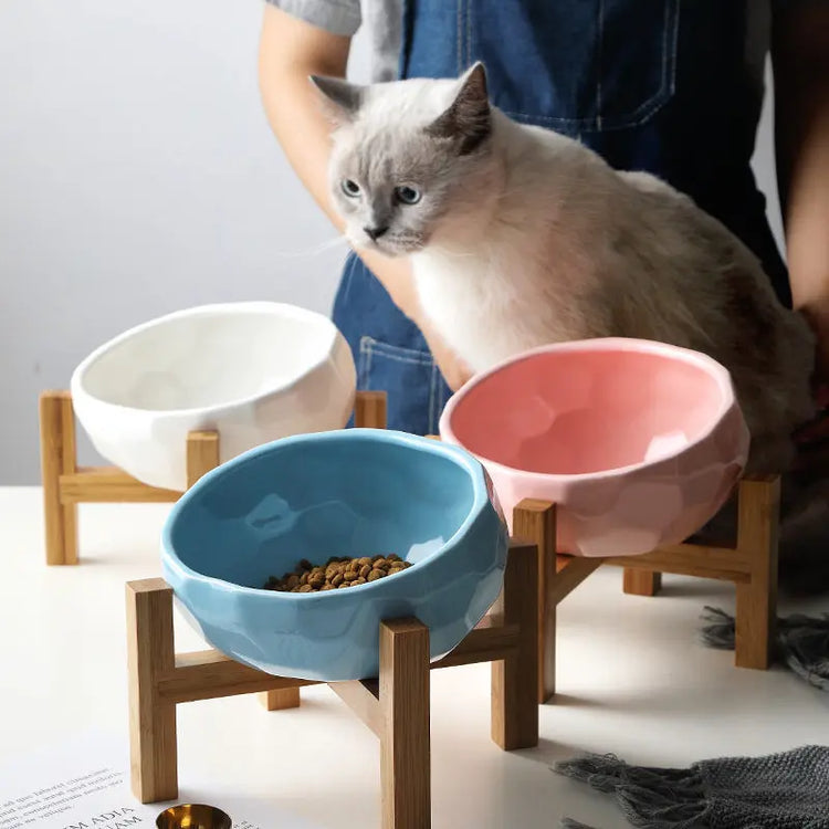 Oblique Pet Designer Bowl | Great for Cat & Dog CJ