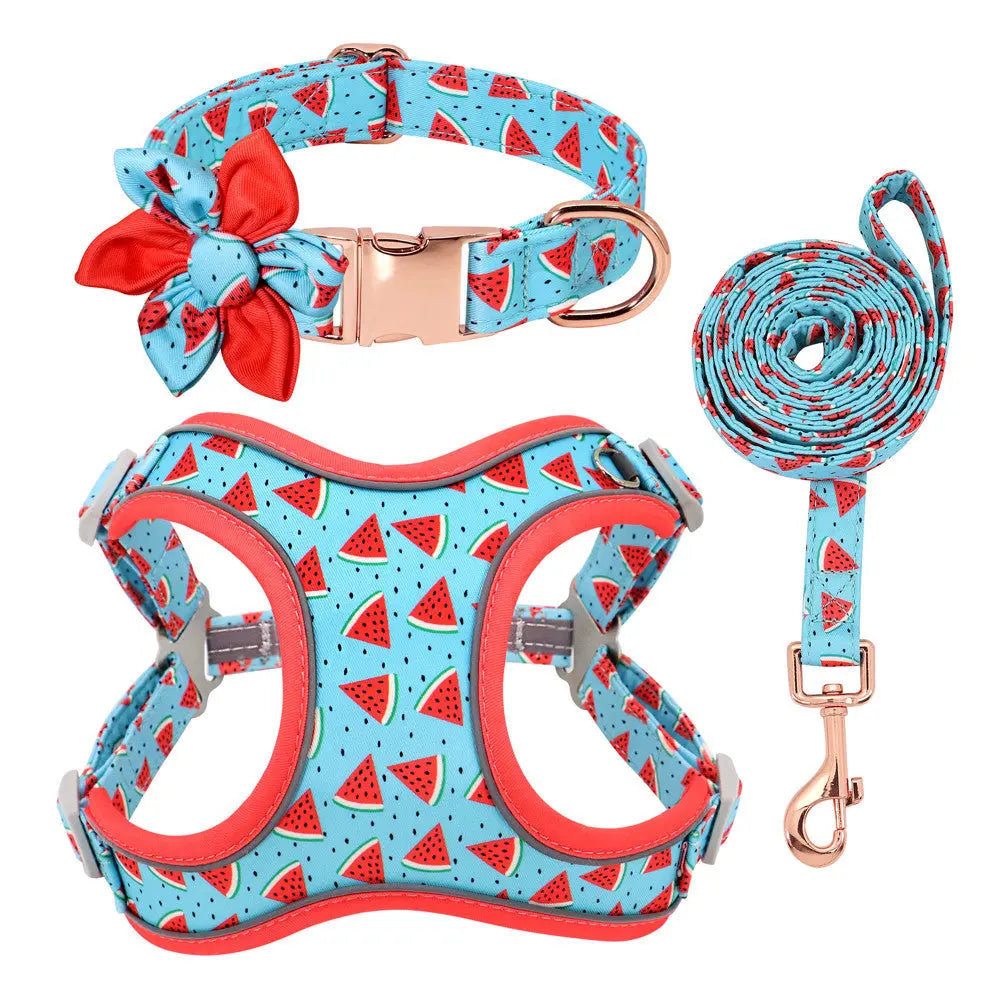 Personalized Floral Dog Harness & Leash Set - Custom Name Small Dog Collar - Adjustable Puppy Walking Gear - Matching Boutique Pet Accessories The Aurora Touch