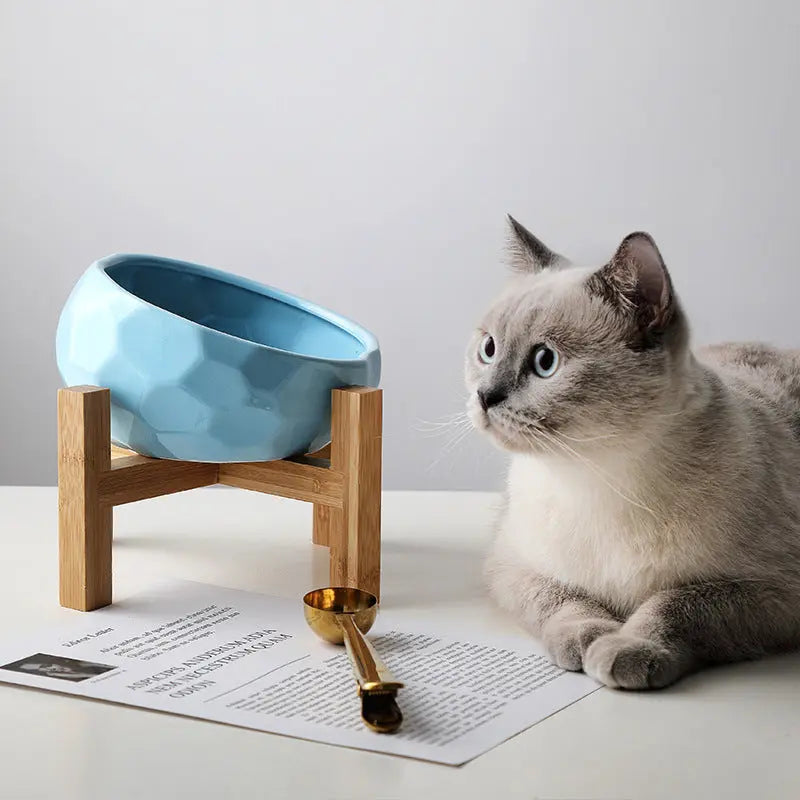 Oblique Pet Designer Bowl | Great for Cat & Dog CJ