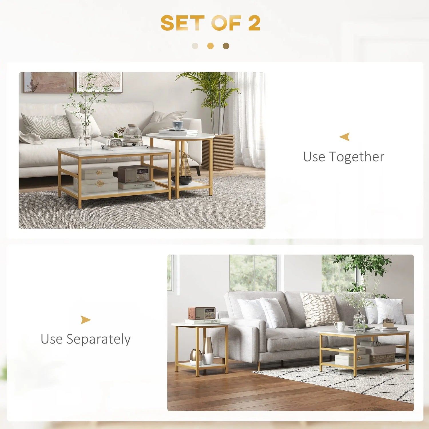 Coffee Tables Set of 2 CJ