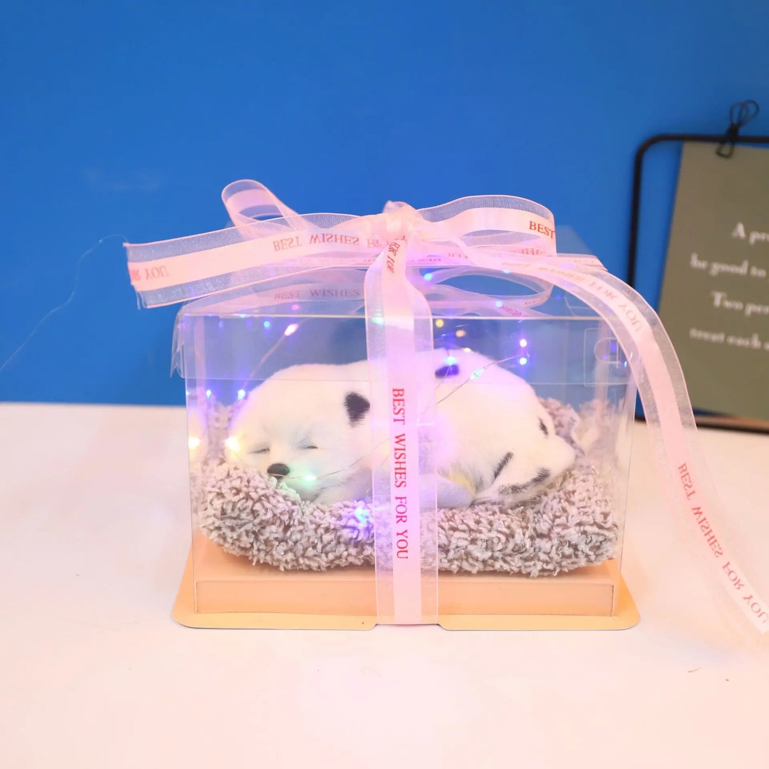Decorative Activated Carbon Pet Pad with Gift Box - The Aurora Touch