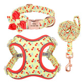 Personalized Floral Dog Harness & Leash Set - Custom Name Small Dog Collar - Adjustable Puppy Walking Gear - Matching Boutique Pet Accessories The Aurora Touch