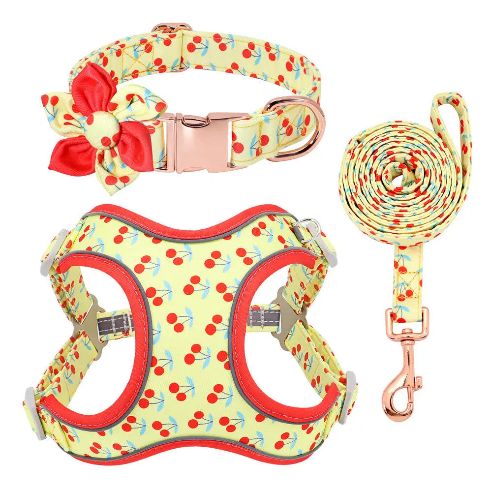 Personalized Floral Dog Harness & Leash Set - Custom Name Small Dog Collar - Adjustable Puppy Walking Gear - Matching Boutique Pet Accessories The Aurora Touch