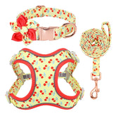 Personalized Floral Dog Harness & Leash Set - Custom Name Small Dog Collar - Adjustable Puppy Walking Gear - Matching Boutique Pet Accessories The Aurora Touch