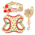 Personalized Floral Dog Harness & Leash Set - Custom Name Small Dog Collar - Adjustable Puppy Walking Gear - Matching Boutique Pet Accessories The Aurora Touch