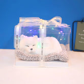Decorative Activated Carbon Pet Pad with Gift Box - The Aurora Touch