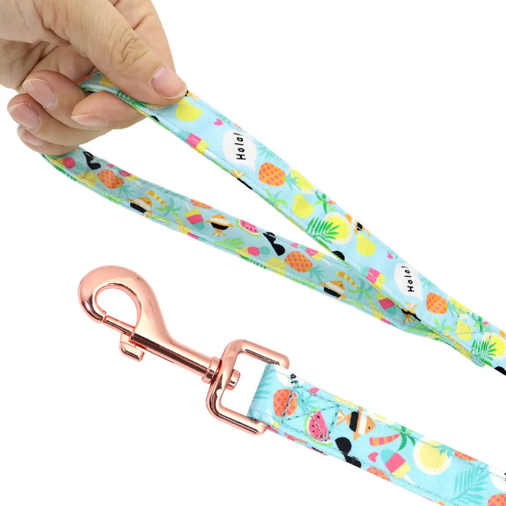 Personalized Floral Dog Harness & Leash Set - Custom Name Small Dog Collar - Adjustable Puppy Walking Gear - Matching Boutique Pet Accessories The Aurora Touch