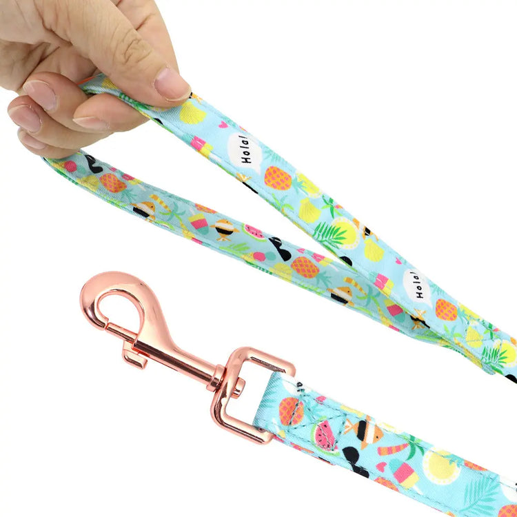 Personalized Floral Dog Harness & Leash Set - Custom Name Small Dog Collar - Adjustable Puppy Walking Gear - Matching Boutique Pet Accessories The Aurora Touch