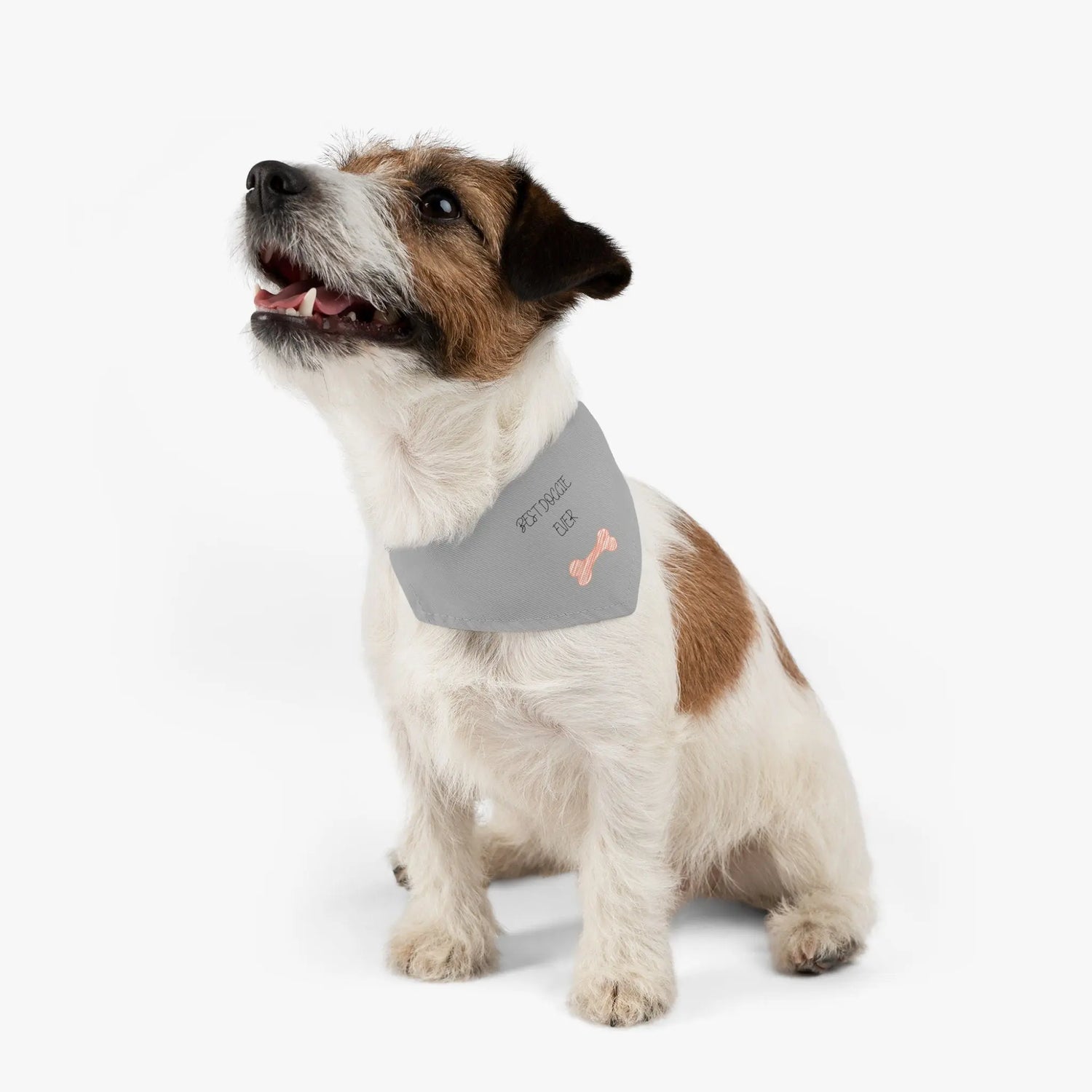 Best Doggie Ever -Pet Bandana Collar, pet accessories, pet clothes, mans best friend, pet bandana, Dog Birthday