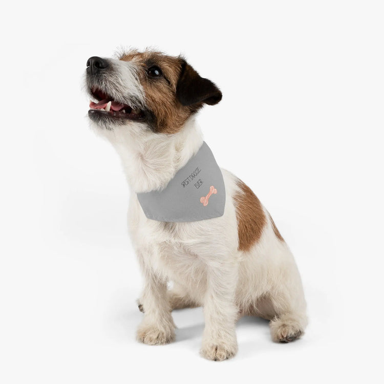 Best Doggie Ever -Pet Bandana Collar, pet accessories, pet clothes, mans best friend, pet bandana, Dog Birthday