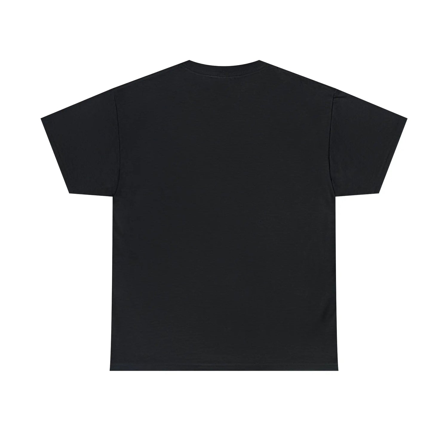 Pride TShirt, Rainbow Pride all gender all occasion proud stylish make a statement everyday casual black shirt