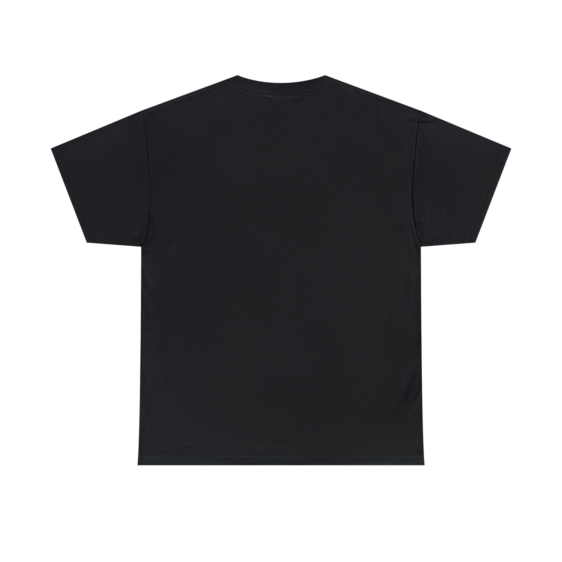 Pride TShirt, Rainbow Pride all gender all occasion proud stylish make a statement everyday casual black shirt
