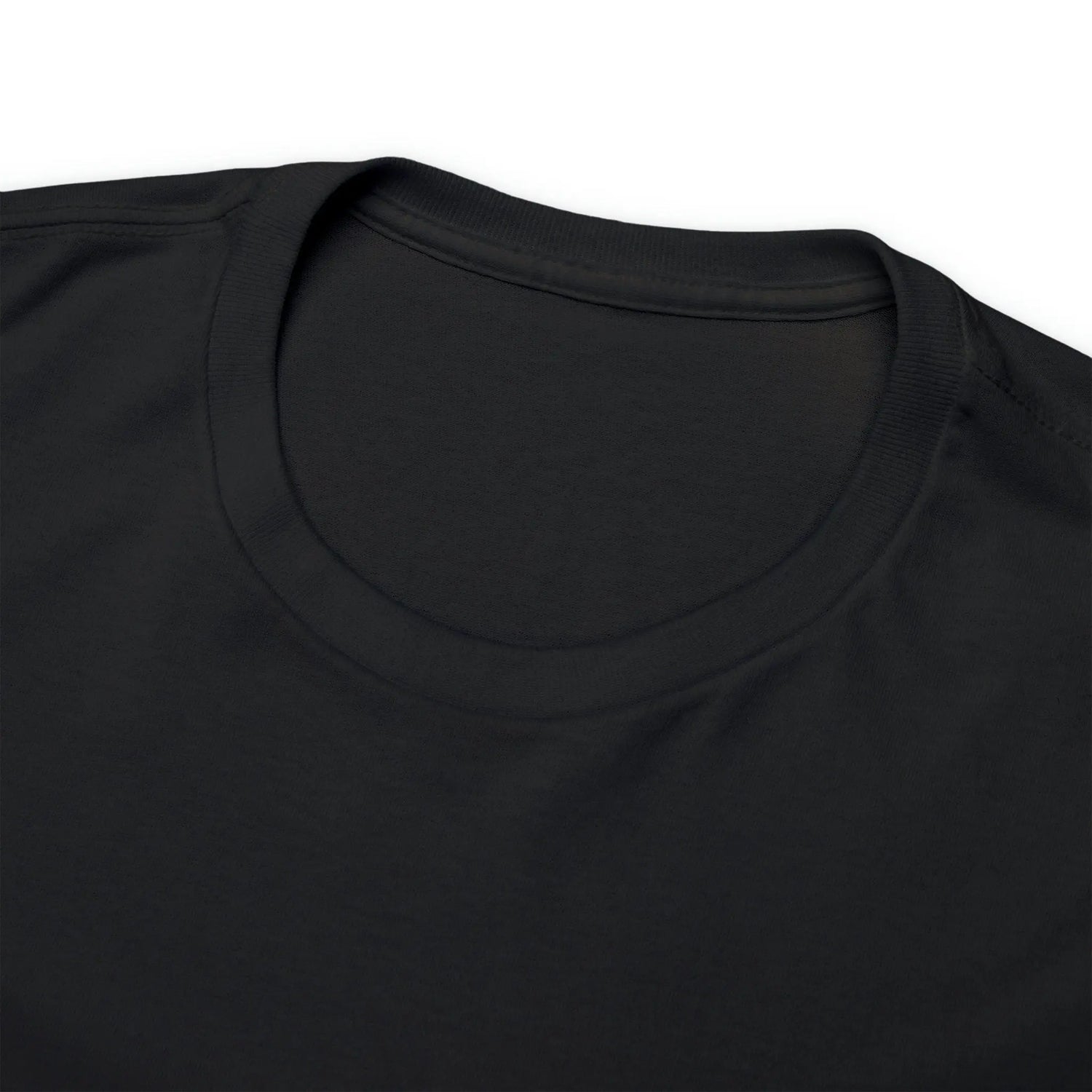 Pride TShirt, Rainbow Pride all gender all occasion proud stylish make a statement everyday casual black shirt
