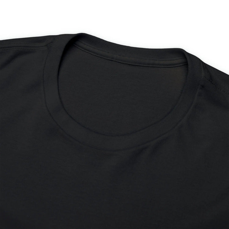 Pride TShirt, Rainbow Pride all gender all occasion proud stylish make a statement everyday casual black shirt
