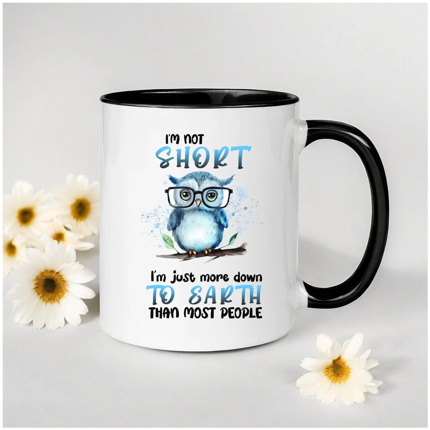 Accent Coffee Mug (11, 15oz), Funny animal mug, Cute Owl Design, cool teacher, silly kitchen decor, happy uplifting morning beverage mug The Aurora Touch