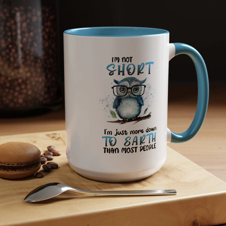 Accent Coffee Mug (11, 15oz), Funny animal mug, Cute Owl Design, cool teacher, silly kitchen decor, happy uplifting morning beverage mug