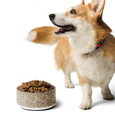 Pet bowl, Floral 3D raised thread pretty design furry best friend fashion style sleek designer looking food bowl