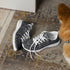 Women’s athletic shoes, sexy chic casual sporty black lace pattern print work gym travel comfy soft light breathable designer sneaker
