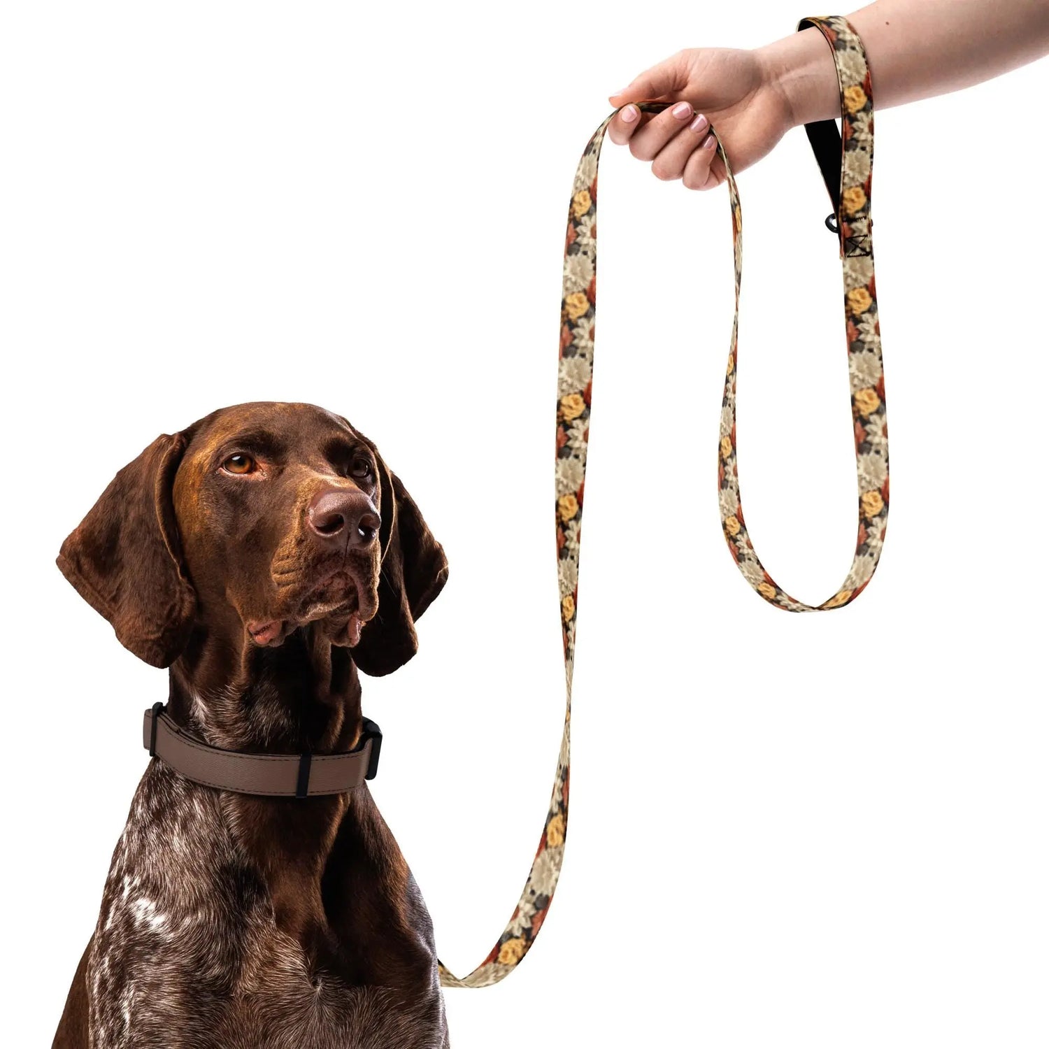 Fall colors Pet leash floral all over print pattern Autumn browns stylish classy walking shopping travel dog collar The Aurora Touch