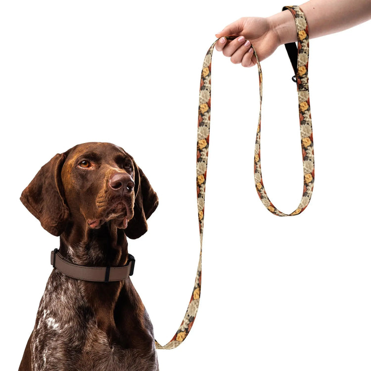 Fall colors Pet leash floral all over print pattern Autumn browns stylish classy walking shopping travel dog collar The Aurora Touch