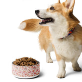 Pink Halloween Pet Bowl | Thanksgiving Pumpkin Cat Dog Dish | Coquette Stylish Designer Food Plate | Fall Home Decor The Aurora Touch
