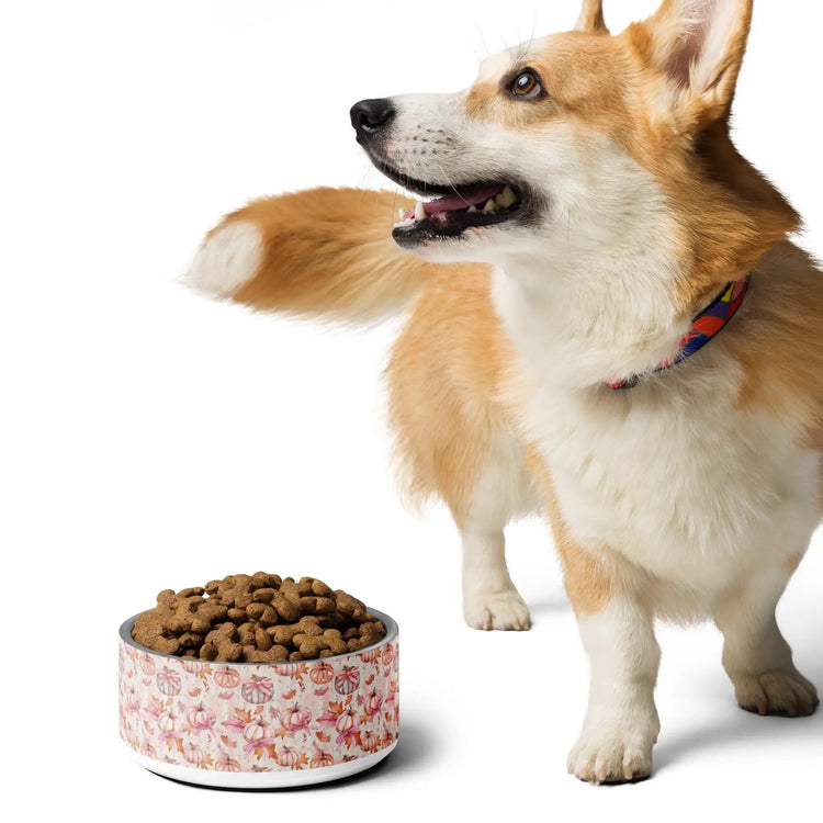 Pink Halloween Pet Bowl | Thanksgiving Pumpkin Cat Dog Dish | Coquette Stylish Designer Food Plate | Fall Home Decor The Aurora Touch