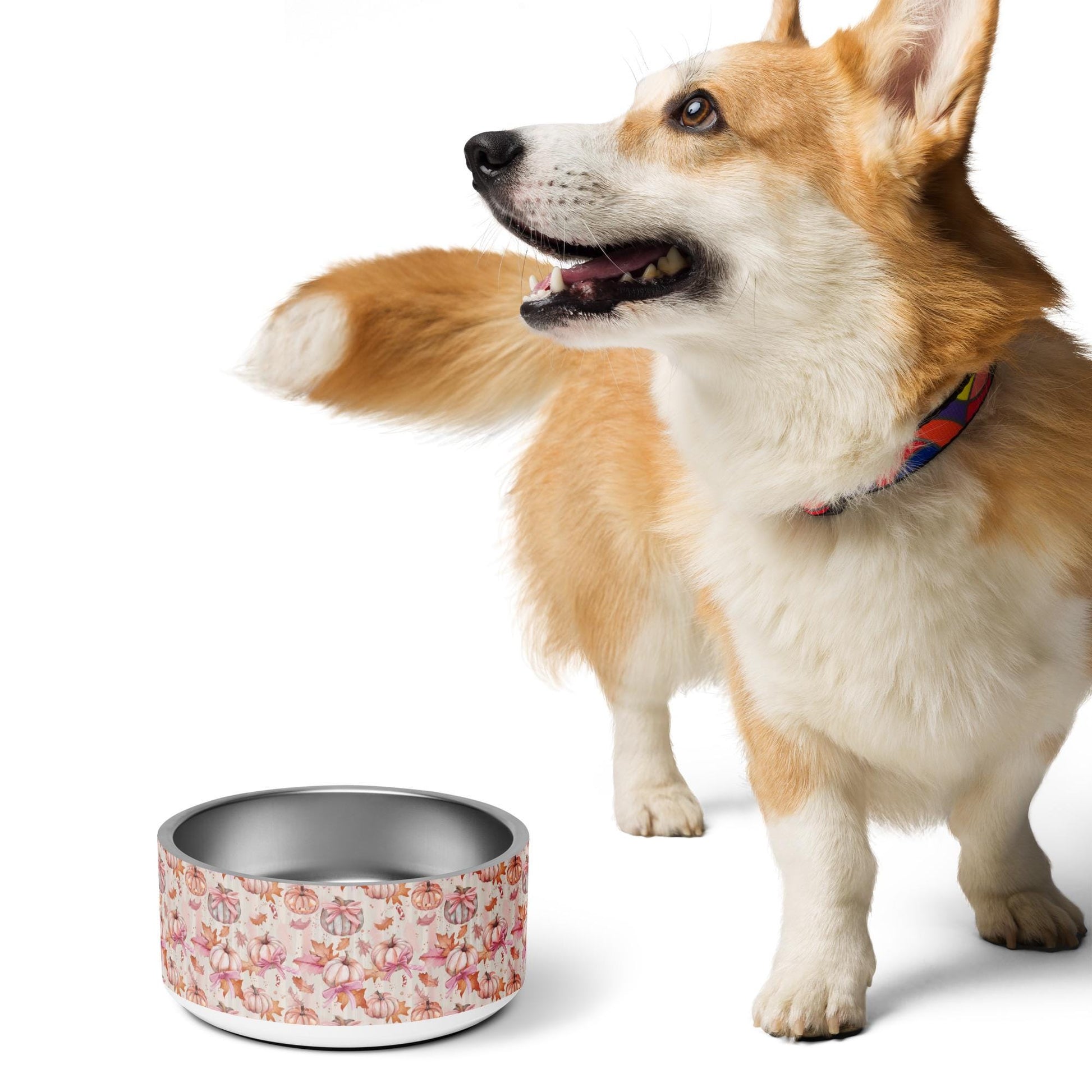 Pink Fall Pet bowl Halloween pink coquette fury friend designer home decor stylish pumkin bows food plate