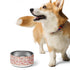 Pink Fall Pet bowl Halloween pink coquette fury friend designer home decor stylish pumkin bows food plate
