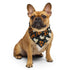 Halloween Pet Bandana all over mini ghosts print stylish casual walk travel designer adorable cat dog human scarf The Aurora Touch