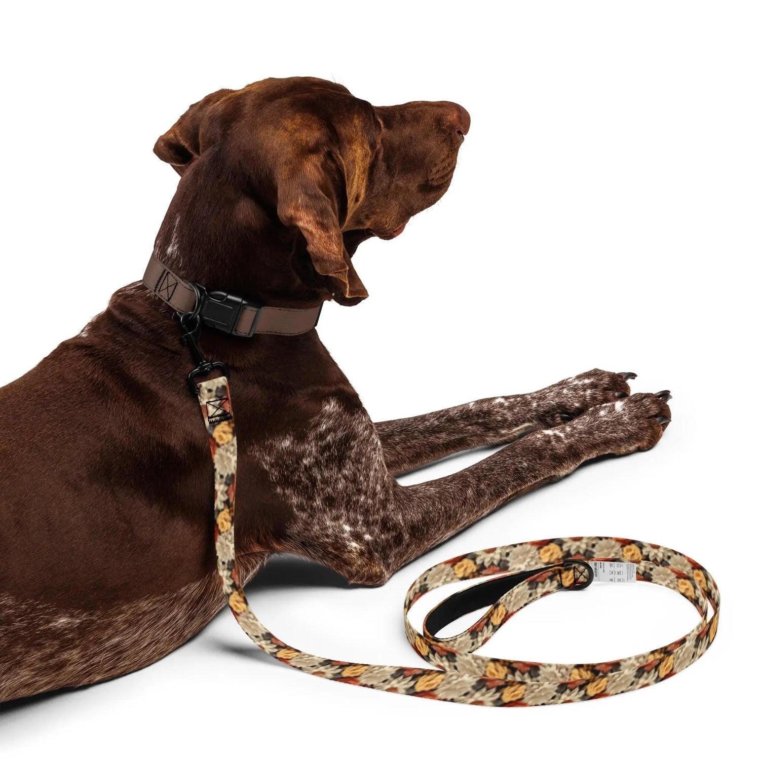 Fall colors Pet leash floral all over print pattern Autumn browns stylish classy walking shopping travel dog collar The Aurora Touch