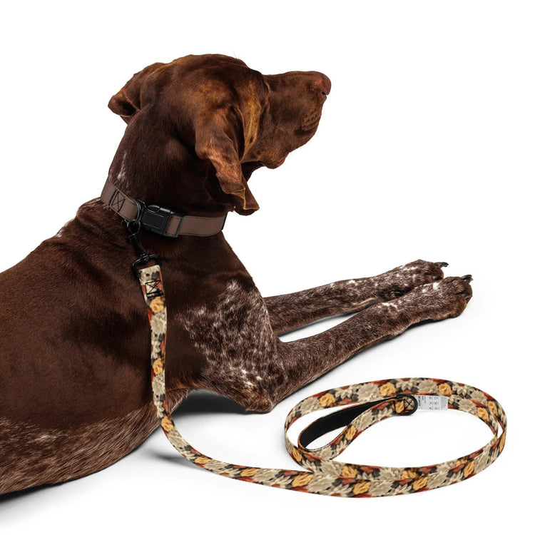 Fall colors Pet leash floral all over print pattern Autumn browns stylish classy walking shopping travel dog collar The Aurora Touch