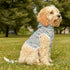 Floral Pet Hoodie - Cozy Dog Sweatshirt, Cute Cat Apparel, Spring Fashion for Pets, Perfect for Gifts and Holidays, Adorable Pet Outfit The Aurora Touch