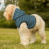Stylish Pet Hoodie, Cozy Dog Sweater, Cute Feline Outerwear, Vibrant Pet Apparel, Unique Pet Gift, Fun Pet Fashion