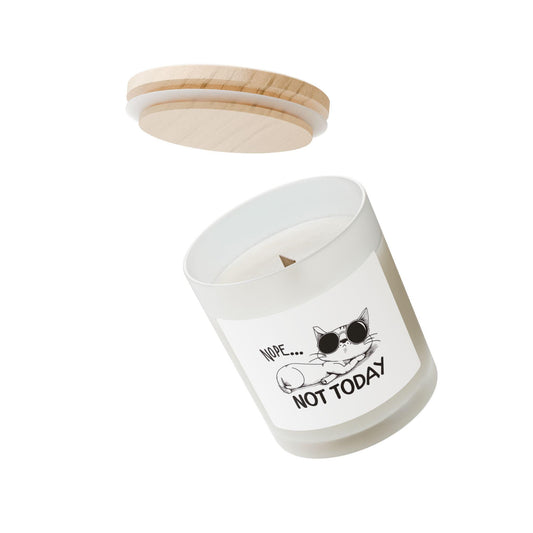 Cat Lover's Frosted Glass Candle, Snarky Home Decor, Unique Gift for Pet Owners, Funny Candle for Relaxation, Cat-Themed Gifts, Gift for